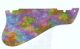 Rainbow Blot