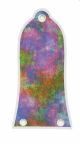 Rainbow Blot