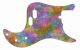 Rainbow Blot