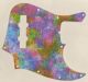 Rainbow Blot