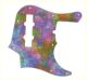 Rainbow Blot