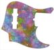 Rainbow Blot
