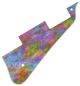 Rainbow Blot