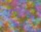 Rainbow Blot