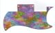 Rainbow Blot