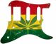 Rasta 1