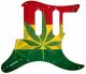 Rasta 1