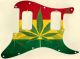 Rasta 1