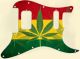 Rasta 1