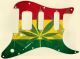 Rasta 1