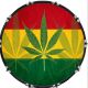 Rasta 1