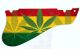 Rasta 1