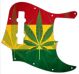 Rasta 1