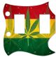 Rasta 1