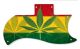 Rasta 1