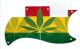 Rasta 1