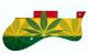 Rasta 1