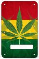 Rasta 1