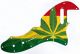 Rasta 1