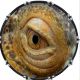 Reptile Eye 2