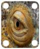 Reptile Eye 2