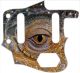 Reptile Eye