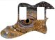 Reptile Eye