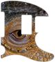 Reptile Eye