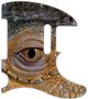 Reptile Eye