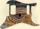 Reptile Eye
