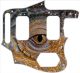 Reptile Eye