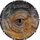 Reptilian Eye