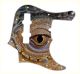 Reptile Eye