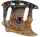 Reptile Eye