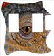 Reptile Eye