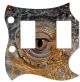 Reptile Eye