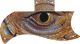 Reptile Eye