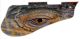 Reptile Eye