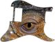 Reptile Eye