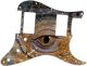 Reptile Eye