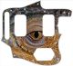 Reptile Eye