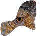 Reptile Eye