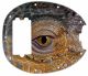 Reptile Eye