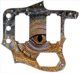 Reptile Eye