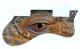 Reptile Eye