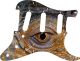 Reptile Eye - Vintera '70s Strat