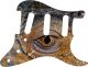 Reptile Eye