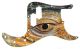 Reptile Eye