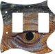 Reptile Eye