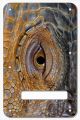 Reptile Eye